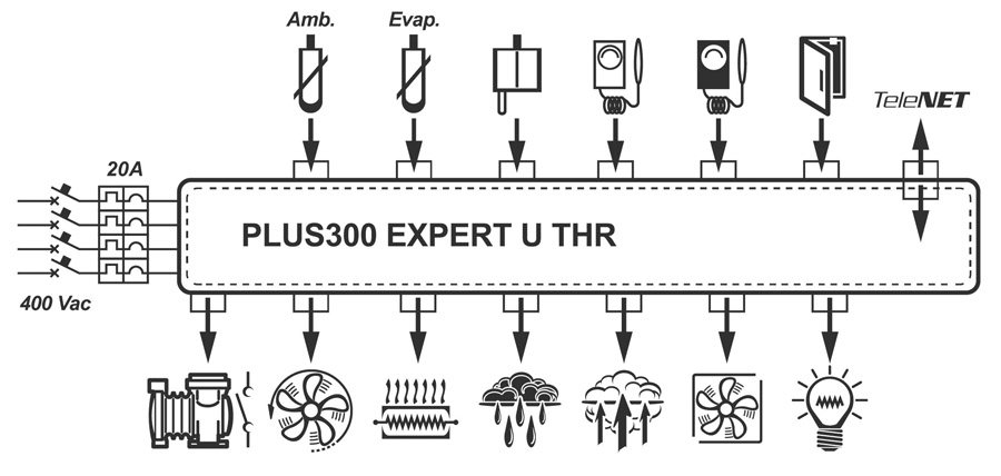 PLUS 300 EXPERT U THR